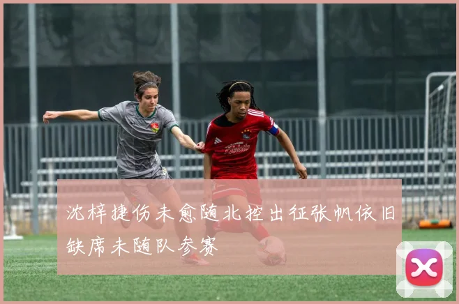 沈梓捷伤未愈随北控出征张帆依旧缺席未随队参赛