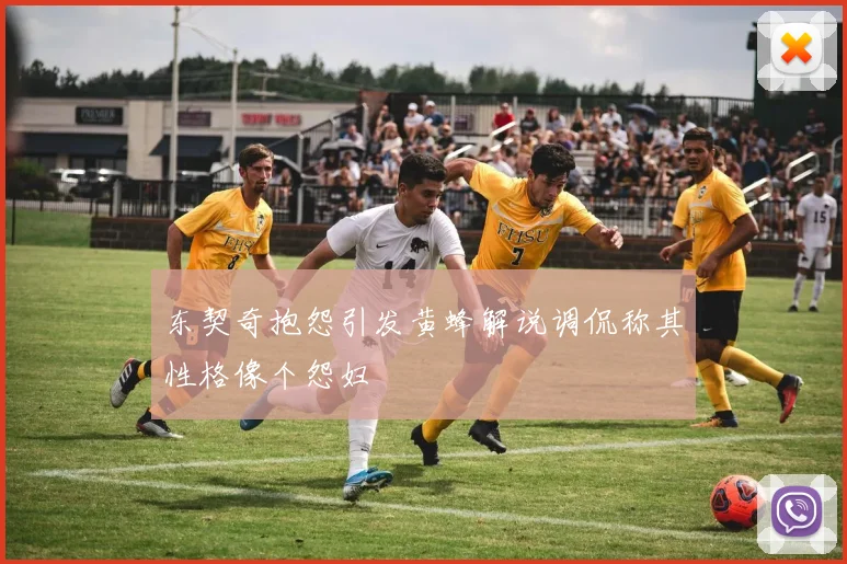 东契奇抱怨引发黄蜂解说调侃称其性格像个怨妇