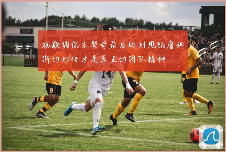 杨毅调侃东契奇最后时刻甩锅詹姆斯的妙传才是真正的团队精神