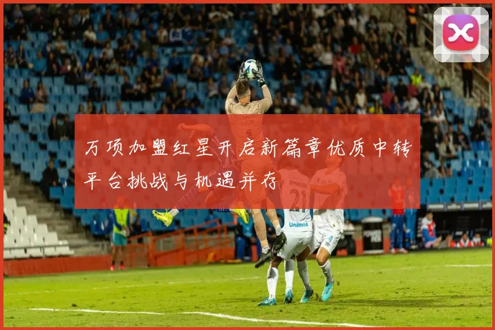 万项加盟红星开启新篇章优质中转平台挑战与机遇并存