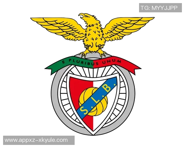 五大联赛之外欧洲俱乐部身价排名揭晓葡萄牙体育波尔图本菲卡位居前三